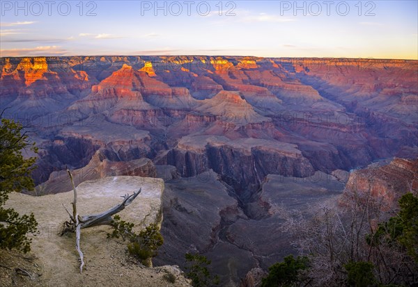 Gorge of the Grand Canyon at sunset