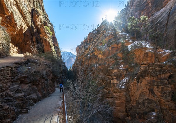 Hiking trail Angels Landing Trail