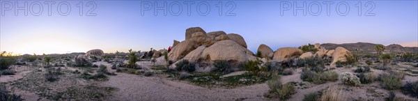 Desert landscape at sunset