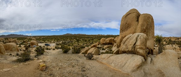 White Tank Campground