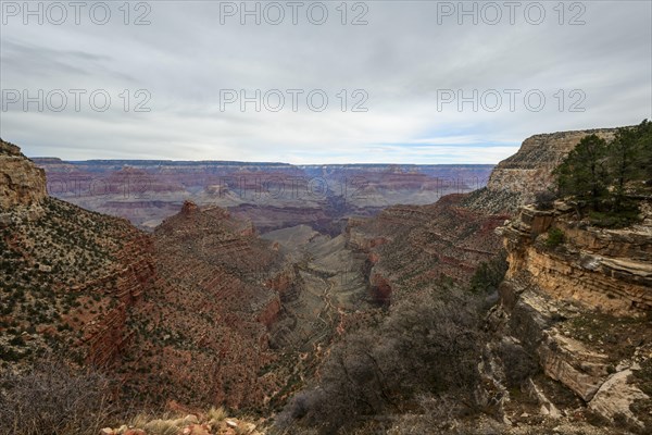 Gorge of the Grand Canyon
