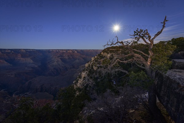 Gorge of the Grand Canyon at moonlight