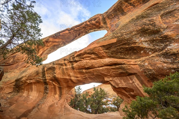 Double O Arch