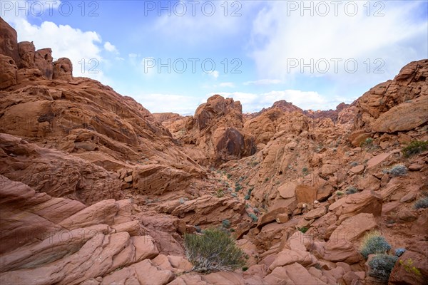 Rainbow Vista Trail