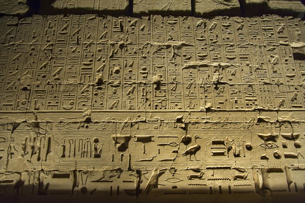 Egyptian hieroglyphs