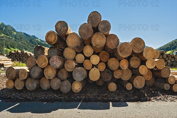 Stacked logs