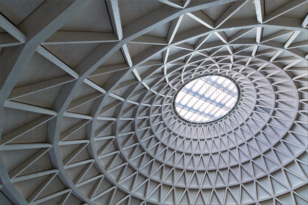 Ceiling with skylight