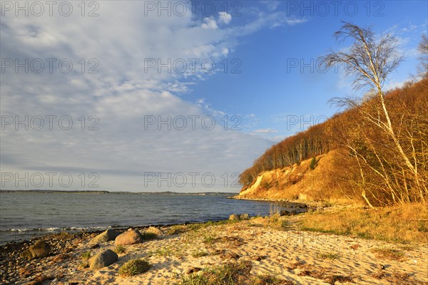 Coastline