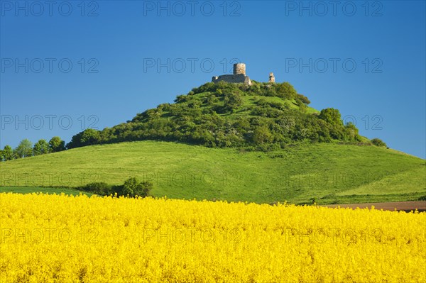 Desenberg Castle