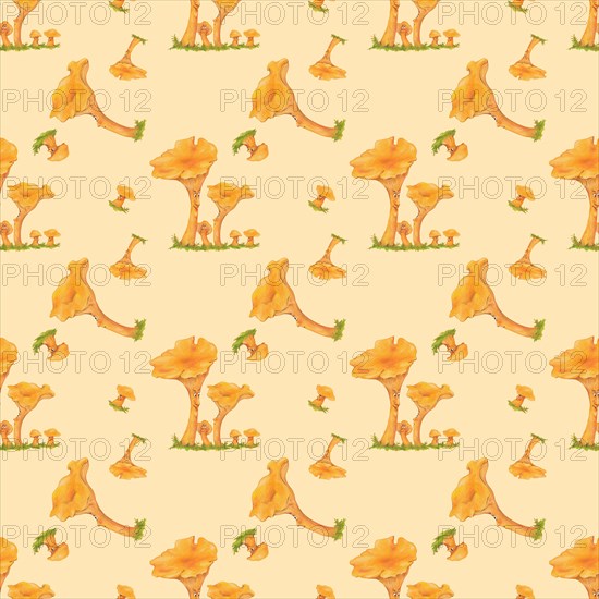 Wallpaper