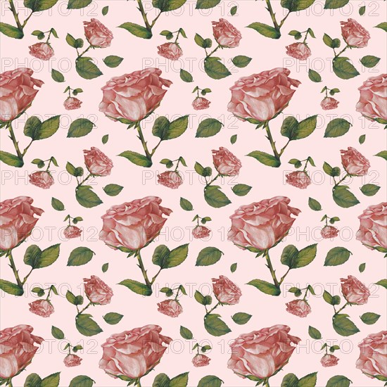 Wallpaper