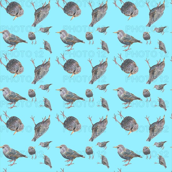 Wallpaper