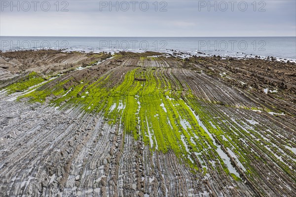 Flysch