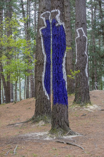 Painted tree trunks