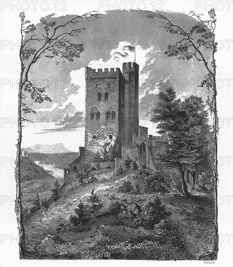 Burg Schwaneck