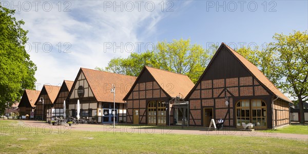 Half-timbered houses