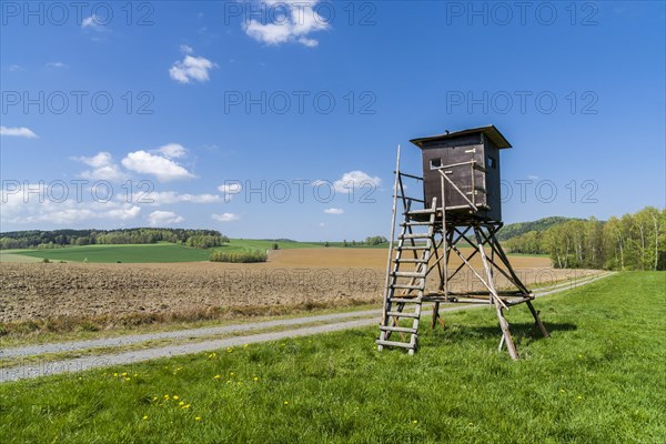 Agricultural landscape with a raised hide for hunting