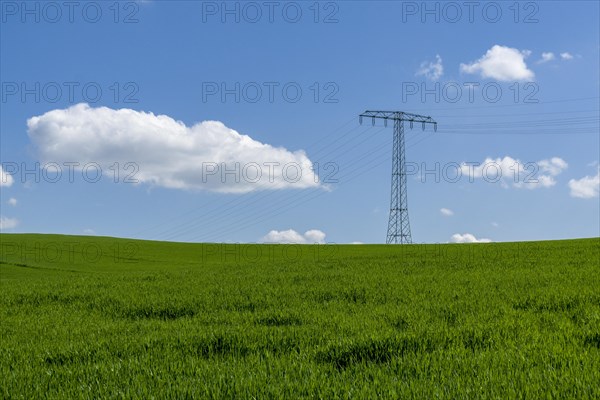 Agricultural landscape with overhead powerlines