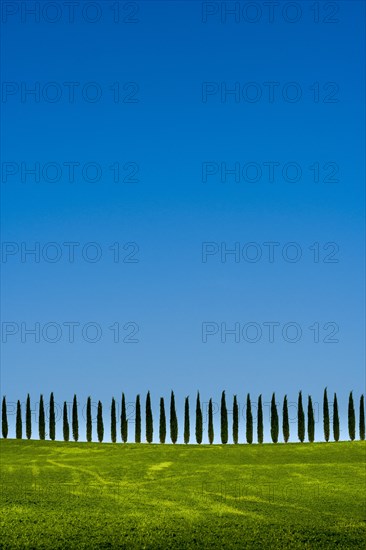 Typical green Tuscan landscape in Bagno Vignoni