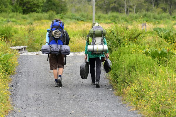 Tourists hiking with loaded backpacks