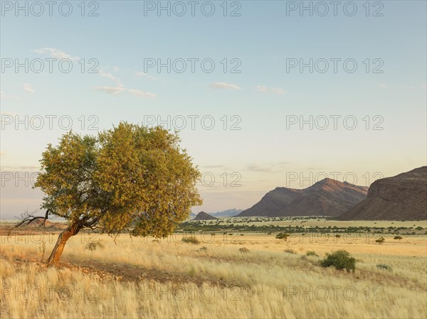 Landscape in the Marienfluss valley