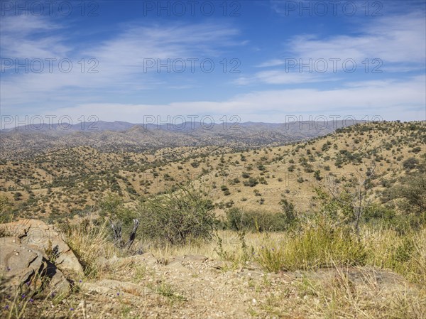 Dry hilly landscape