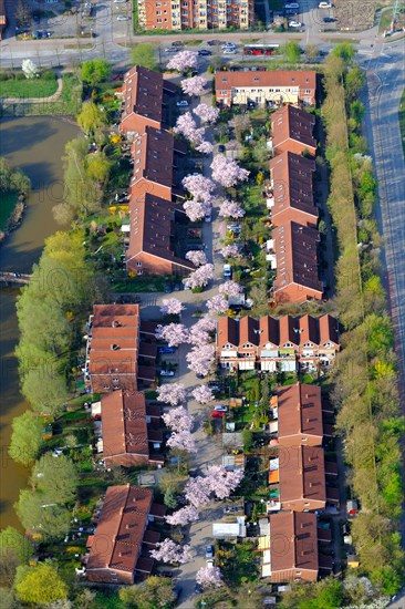 Green settlement Neu-Allermohe East