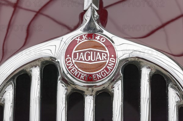 Emblem on Jaguar XK140 radiator grill