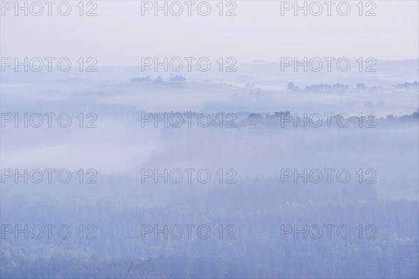 Dense morning fog