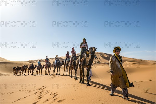 Caravan with dromedaries (Camelus dromedarius)