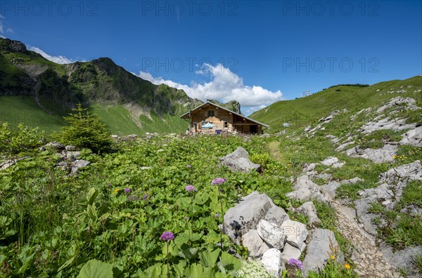 Alm am Schrecksee