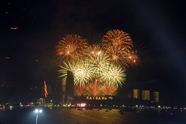 Fireworks at the turn of the year over the bay