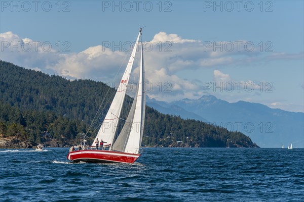 Sailboat on the sea