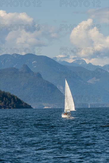 Sailboat on the sea