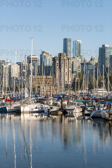 Marina with sailboats