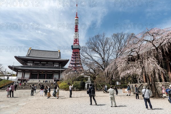 Tokyo Tower with Zojoji Temple
