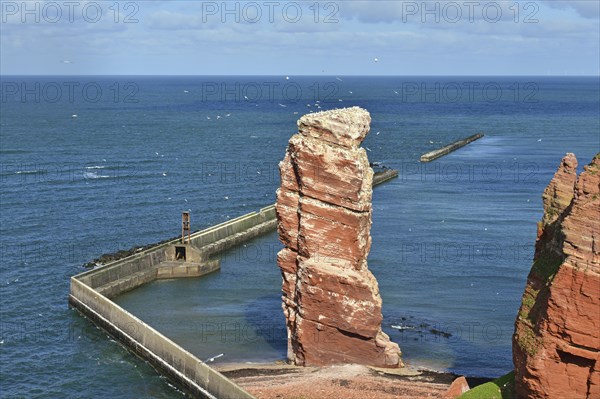 Rock needle