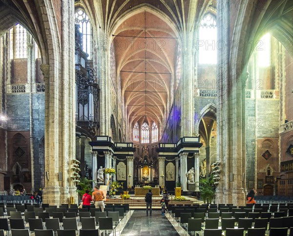 Cathedral of Saint Bavo