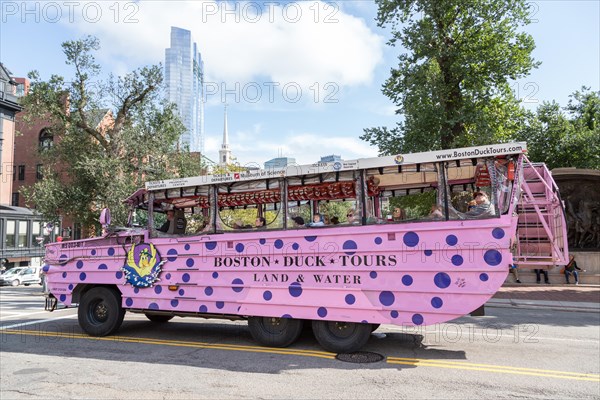 Bus Sightseeing Tour