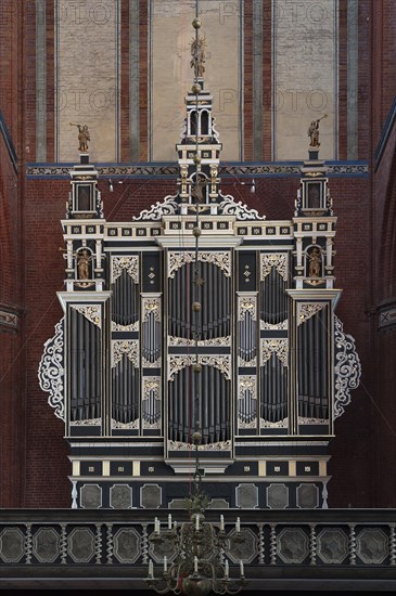 Organ