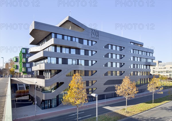 Private university FOM