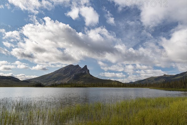 Mount Sukakpak and tundral landscape