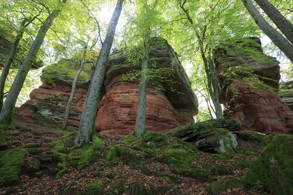 Altschlossfelsen