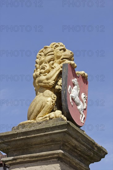 Lion statue on fountain