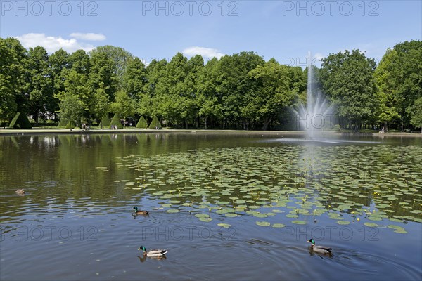 Pond with fountain