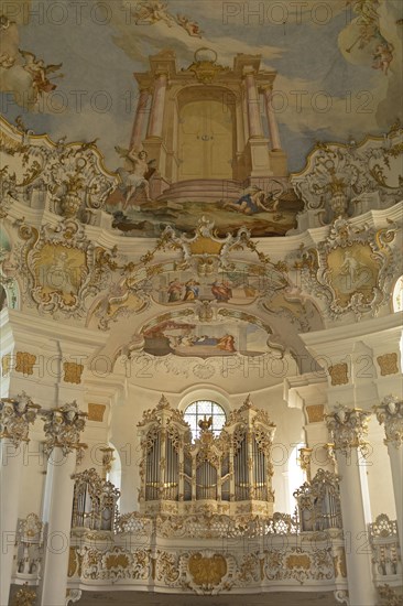 Organ gallery
