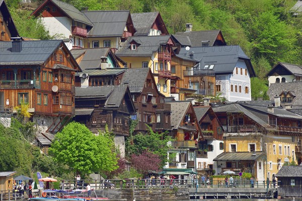 View of Hallstatt on Hallstattersee