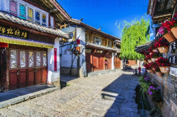 Street view with traditional houses