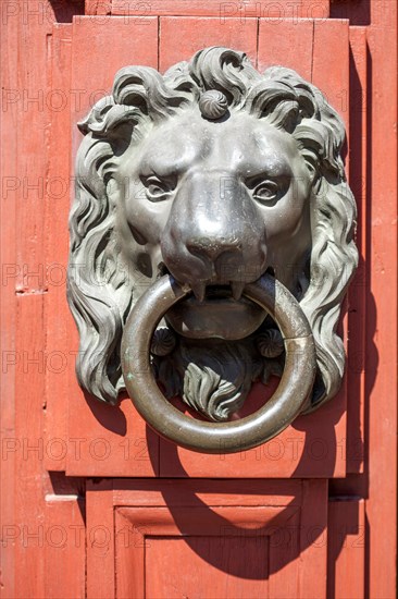 Old door knocker with lion figure