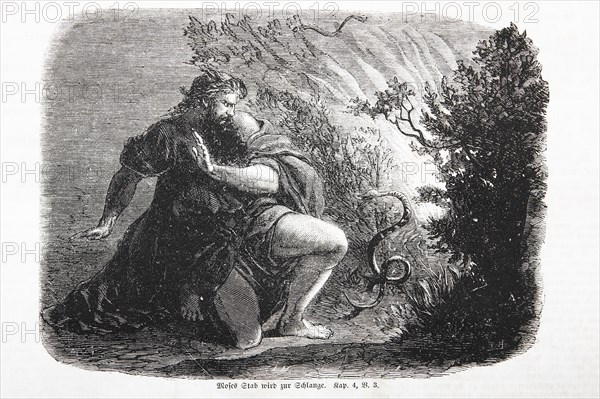 Moses' Staff Becomes a Serpent